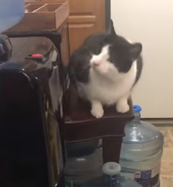 How_to_Dispense_Water .png